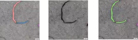 奥林巴斯显微镜