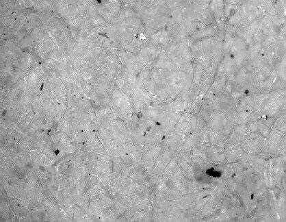 奥林巴斯显微镜