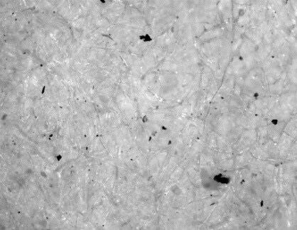 奥林巴斯显微镜