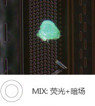 奥林巴斯显微镜