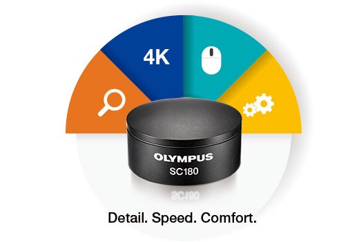 奥林巴斯显微镜