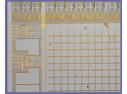 奥林巴斯显微镜 奥林巴斯显微镜
