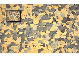 奥林巴斯显微镜