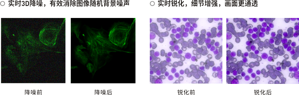 奥林巴斯显微镜