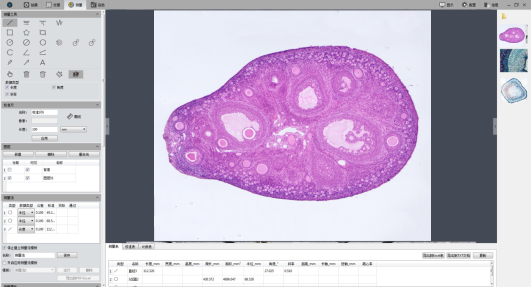 奥林巴斯显微镜