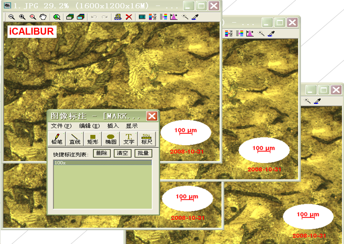 奥林巴斯显微镜