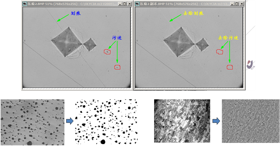 奥林巴斯显微镜