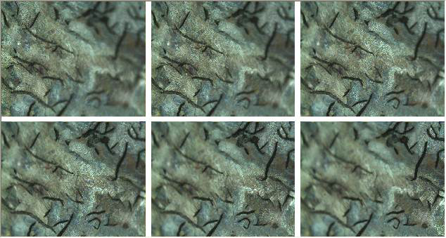 奥林巴斯显微镜