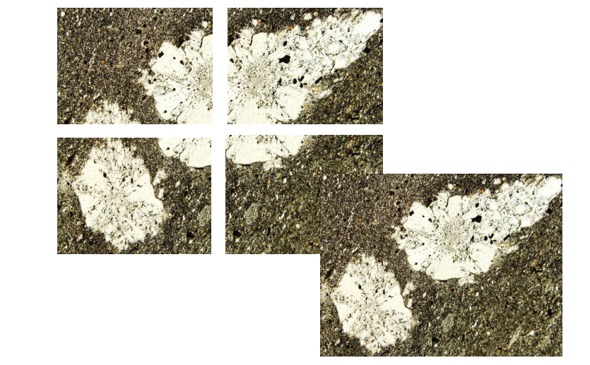 奥林巴斯显微镜