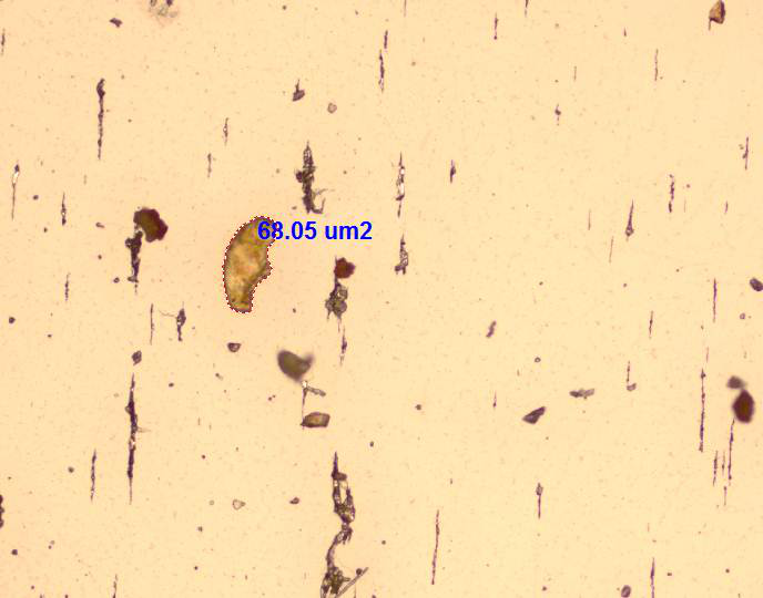 奥林巴斯显微镜