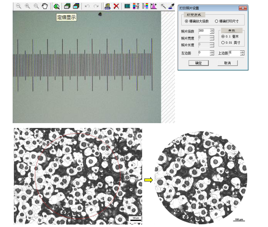 奥林巴斯显微镜