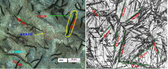 奥林巴斯显微镜