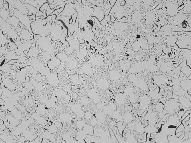 奥林巴斯显微镜