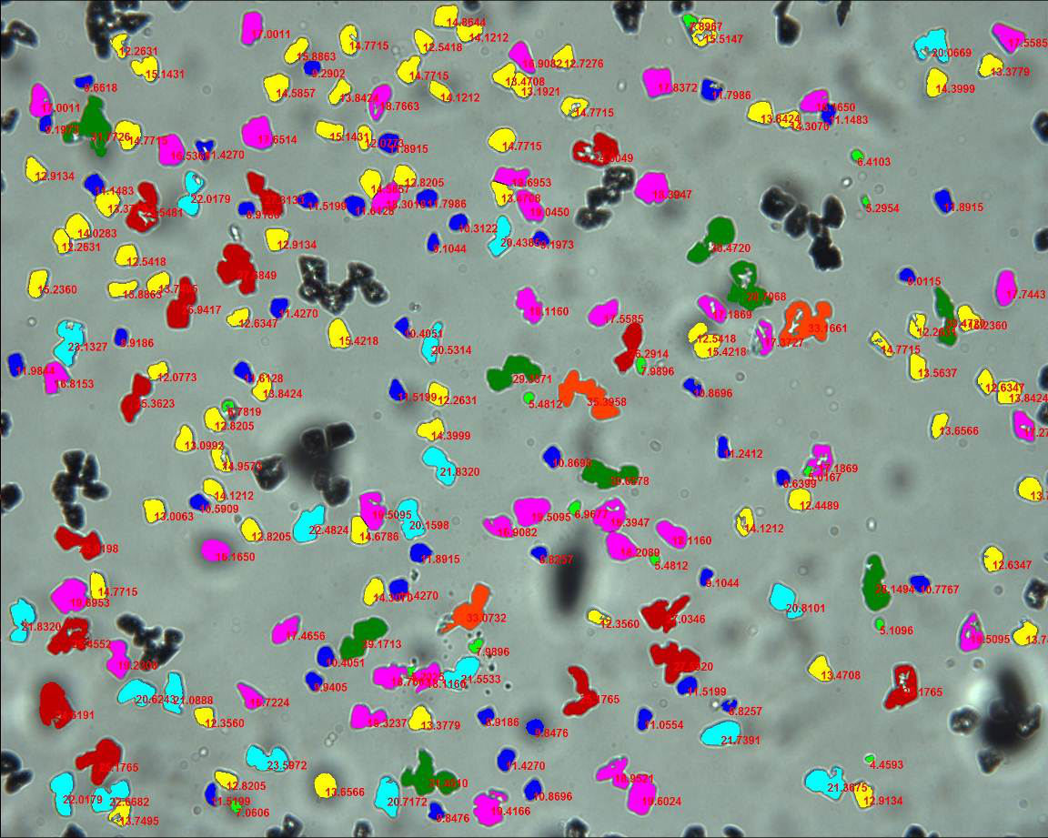 奥林巴斯显微镜