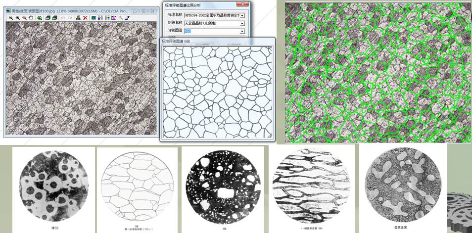奥林巴斯显微镜
