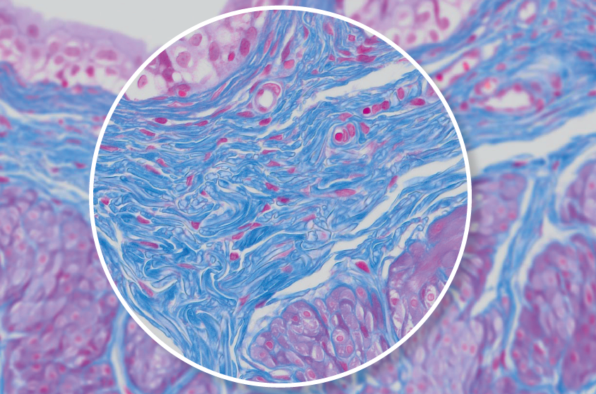 奥林巴斯显微镜
