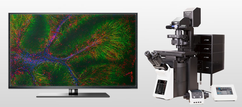 奥林巴斯显微镜