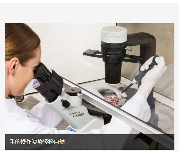 奥林巴斯显微镜