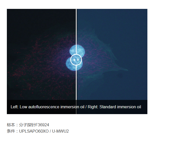 奥林巴斯显微镜