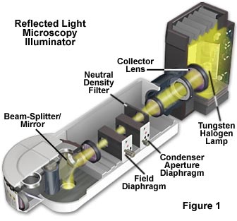 奥林巴斯显微镜