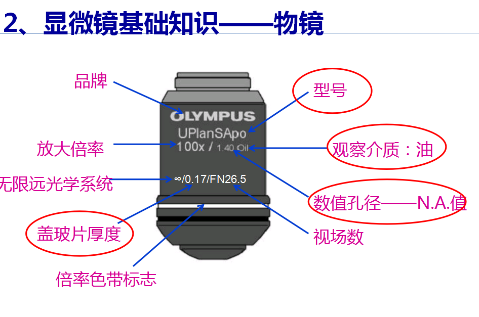 奥林巴斯显微镜