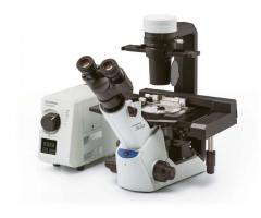 奥林巴斯CKX53倒置显微镜