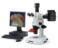 奥林巴斯SZX10体视显微镜