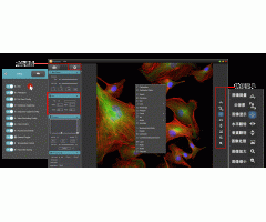 Mosaic高性能图像处理分析软件
