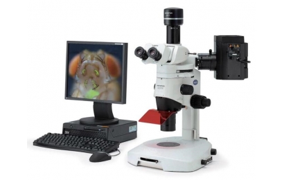奥林巴斯SZX10体视显微镜