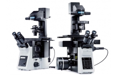 奥林巴斯IX73倒置显微镜