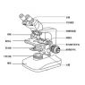 显微镜常见问题