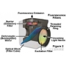 如何选择合适的荧光滤光片