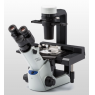 细胞培养专用显微镜奥林巴斯CKX53
